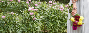 Flower garden with model wearing Trollbeads jewellery