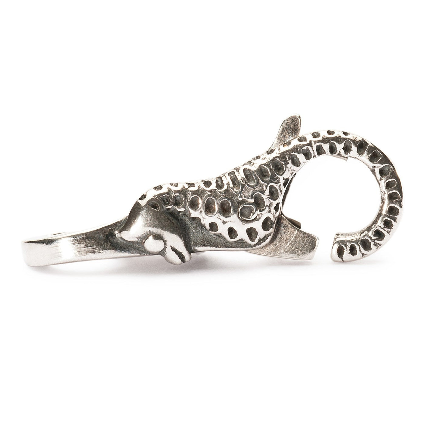 Seahorses Clasp